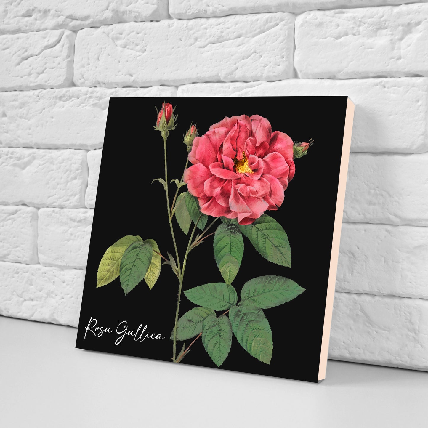 Vintage Botanical Print Ceramic Tiles - Set of 3 Ceramic Decor Tiles - Kitchen Backsplash Tiles, Bathroom Tiles, Botanical wall art