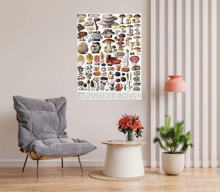 Tile Mural/Mosaic Ceramic Panel of Mushrooms - Adolphe Millot - Vintage Fungal Print Wall Art - Adolphe Millot Print Vintage Illustration