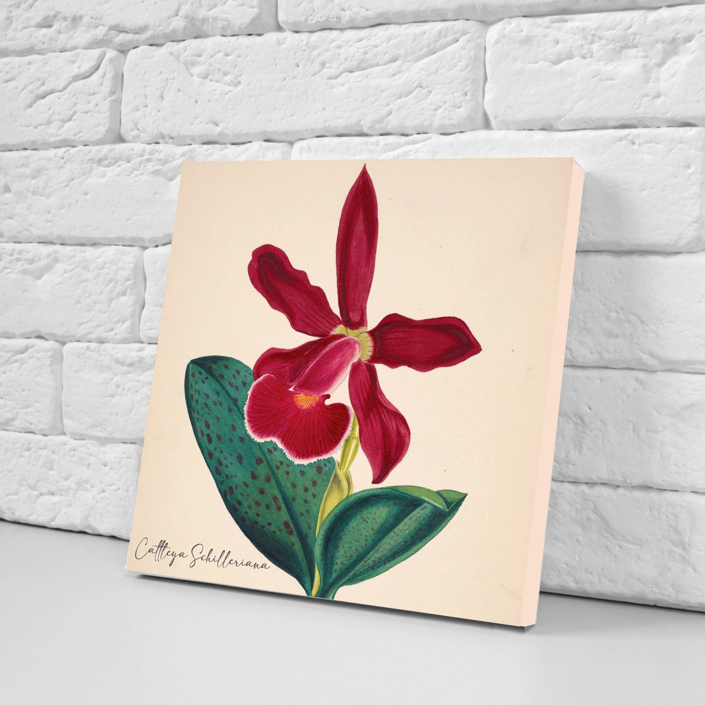 Vintage Botanical Print Ceramic Tiles - Set of 3 Ceramic Decor Tiles - Cattleya flower print, Bathroom Tiles, Botanical wall art, Home decor