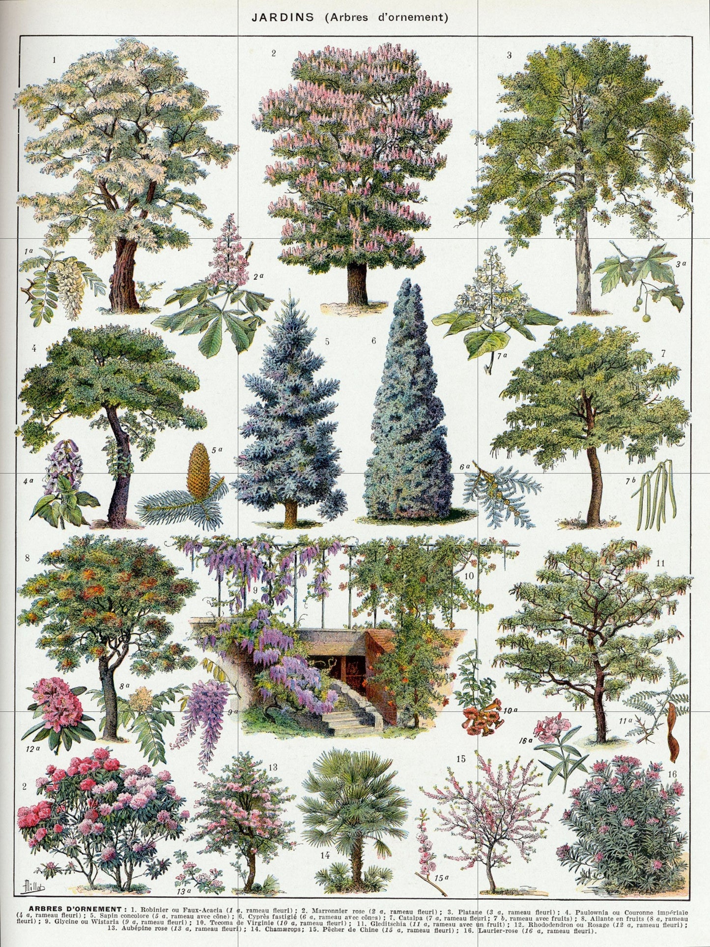 Tile Mural/Mosaic Ceramic Vintage Tree Wall Art - Plant Illustration - Larousse - Plant Wall Art - Kitchen Mural - Vintage Botanical Print