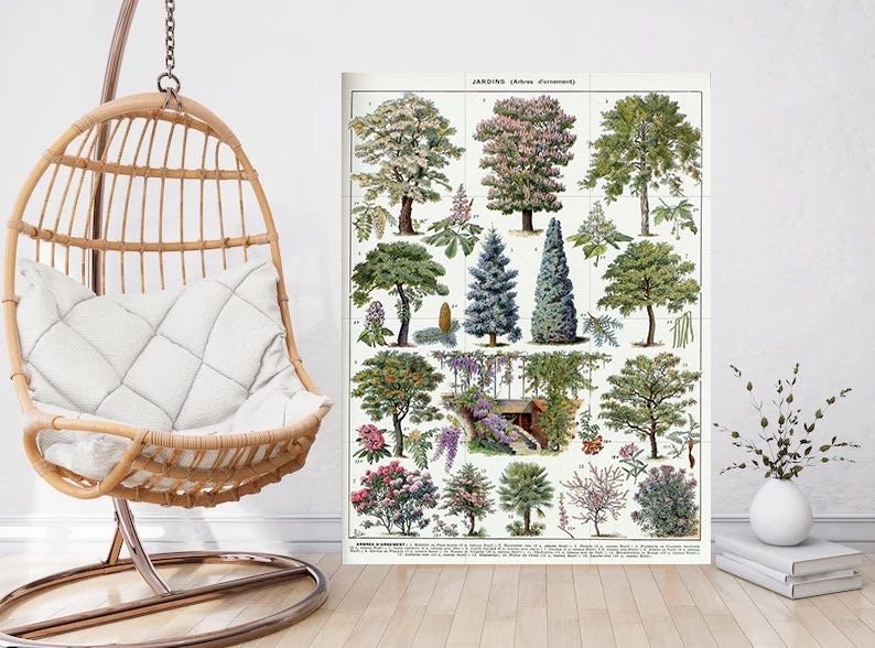 Tile Mural/Mosaic Ceramic Vintage Tree Wall Art - Plant Illustration - Larousse - Plant Wall Art - Kitchen Mural - Vintage Botanical Print