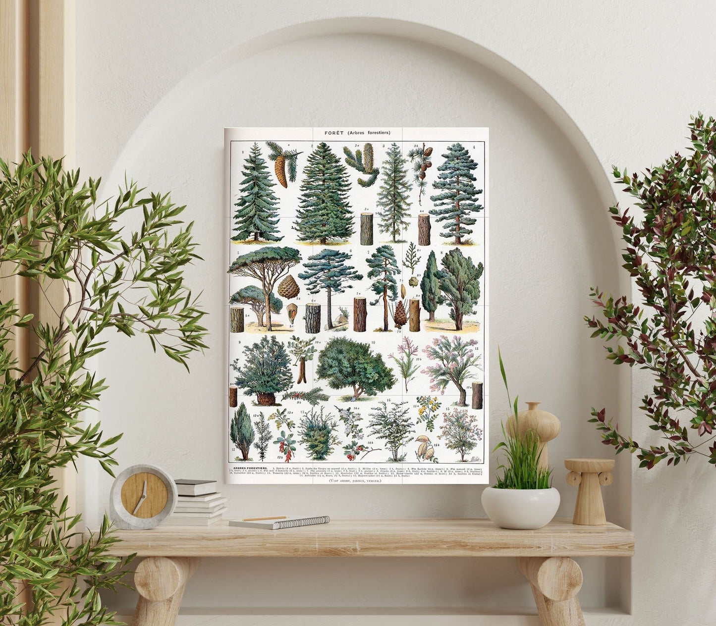 Tile Mural/Mosaic Ceramic Vintage Tree Wall Art - Plant Illustration - Larousse - Plant Wall Art - Kitchen Mural - Vintage Botanical Print