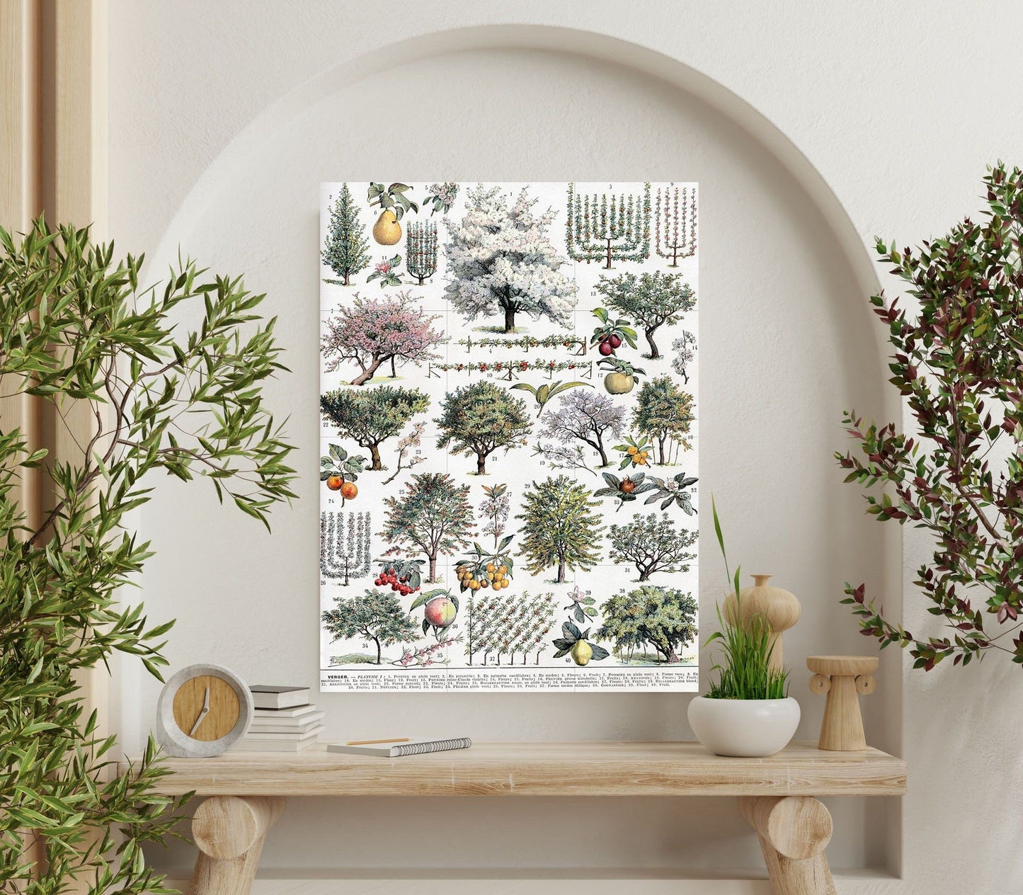 Tile Mural/Mosaic Ceramic Vintage Tree Wall Art - Plant Illustration - Larousse - Plant Wall Art - Kitchen Mural - Vintage Botanical Print