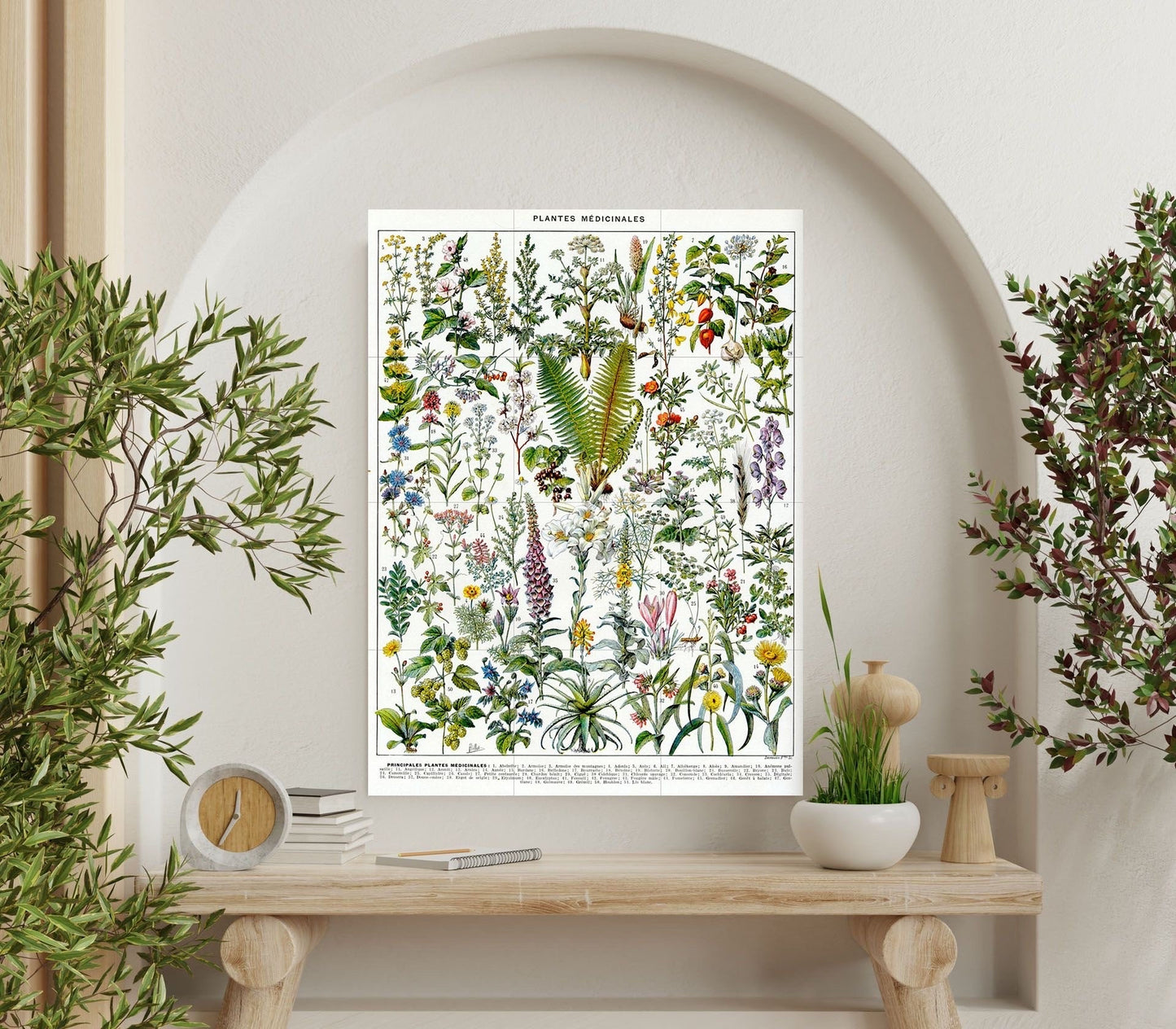 Tile Mural/Mosaic Ceramic Vintage Medical Plants Illustration -Larousse - Plant Wall Art - Vintage Botanical Print - Plant Art - Herbs Print