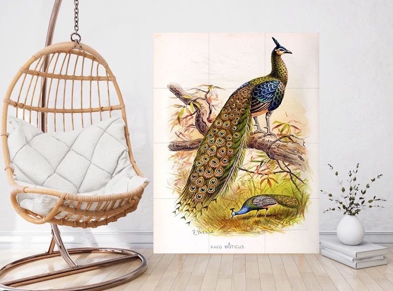 Tile Mural/Mosaic Ceramic Panel of Peacock - E Neale - Bird Wall Art Home Decor - Peacock Mural - Gloss Tiles - Peacock Tile Mosaic