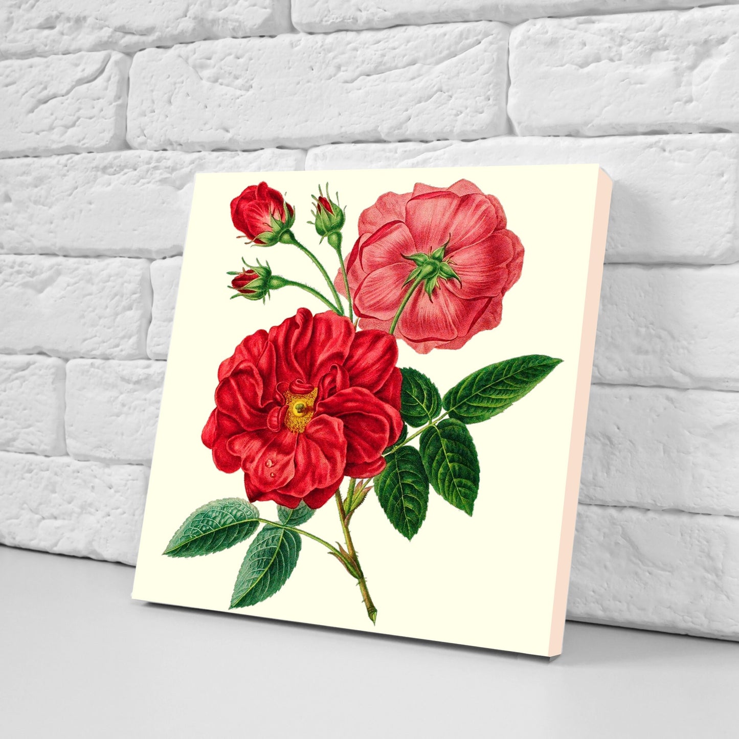 Vintage Botanical Print Ceramic Tiles - Set of 3 Ceramic Decor Tiles - Kitchen Backsplash Tiles, Bathroom Tiles, Botanical wall art