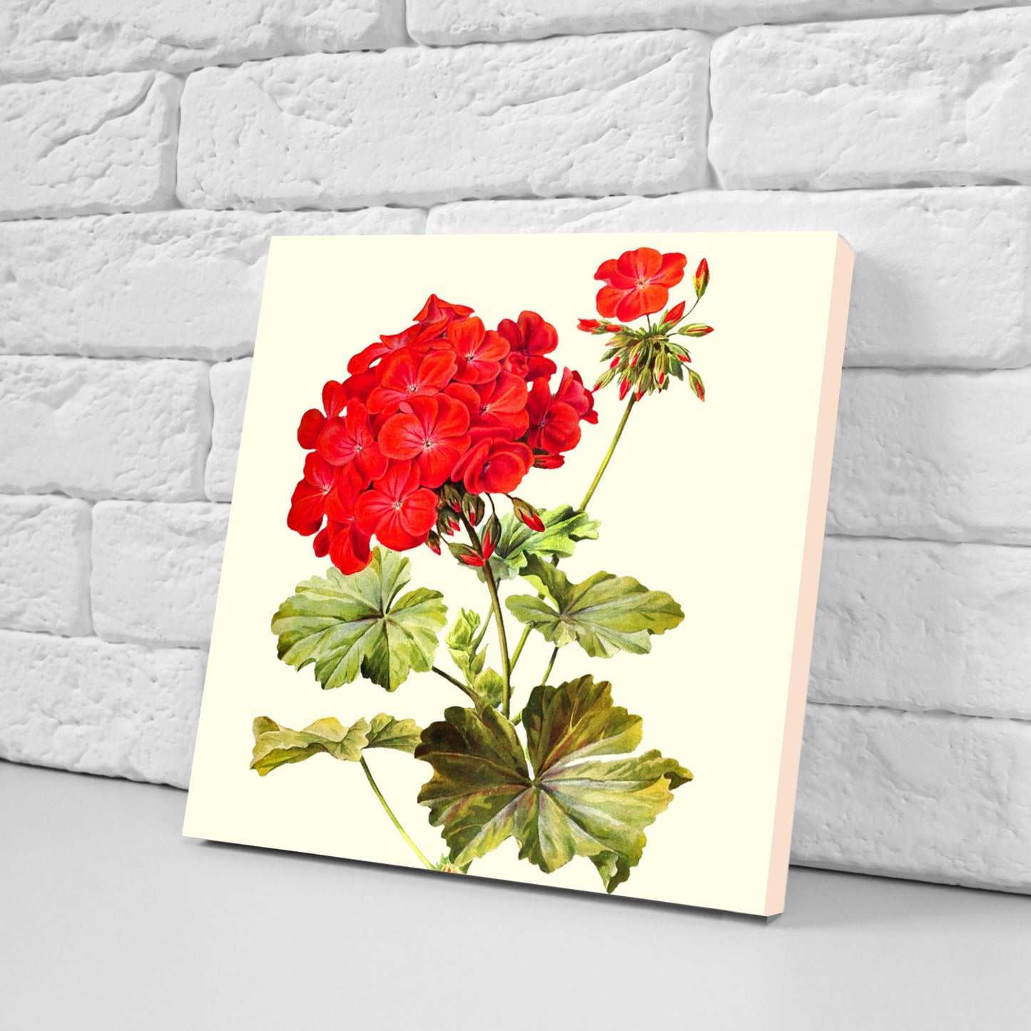 Vintage Botanical Print Ceramic Tiles - Set of 3 Ceramic Decor Tiles - Kitchen Backsplash Tiles, Bathroom Tiles, Botanical wall art