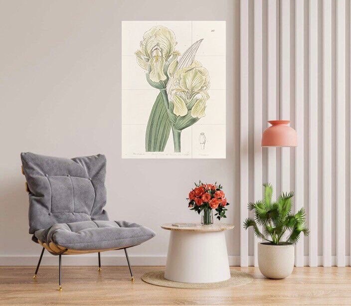 Tile Mural/Mosaic Ceramic Panel Imbricated Iris - Edwards Sydenham -Flower Wall Art - Vintage Botanical Print - Floral Art - Flower Mural