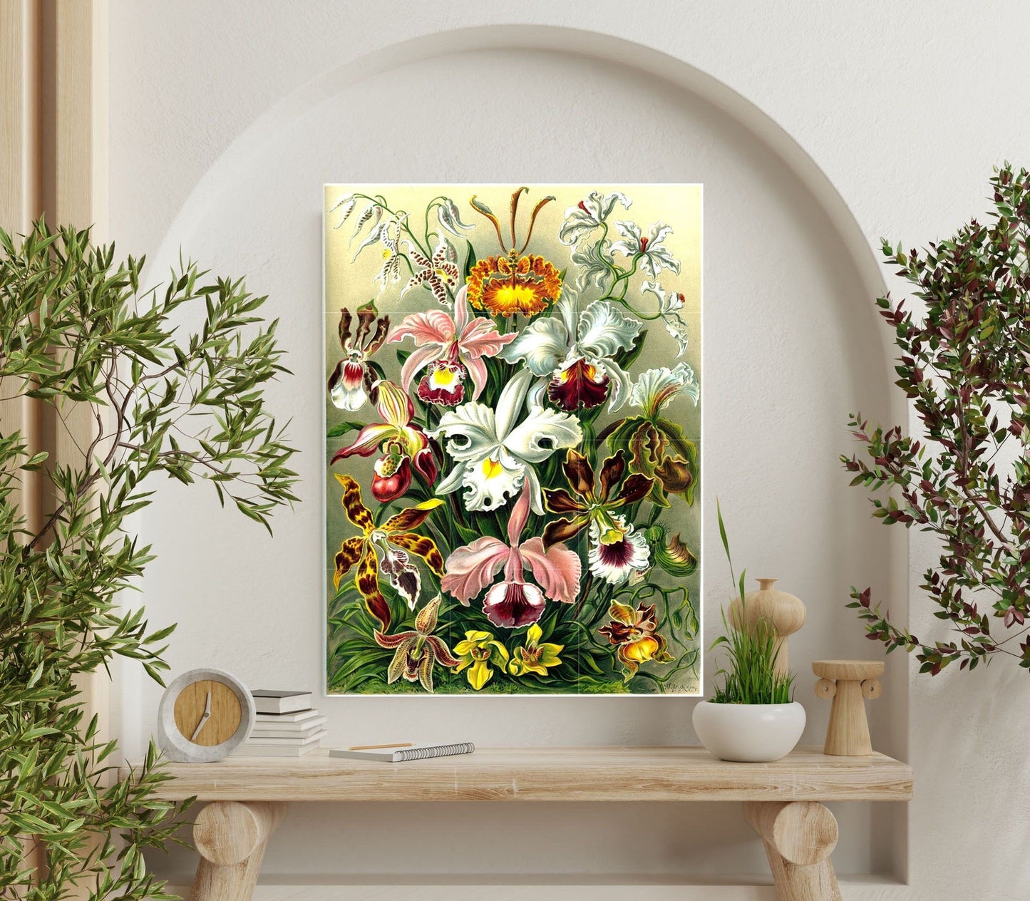 Tile Mural/Mosaic Ceramic Panel of Orchids - Flowers - Vintage Botanical Print - Ernst Haeckel Print Vintage Illustration - Flower Mural