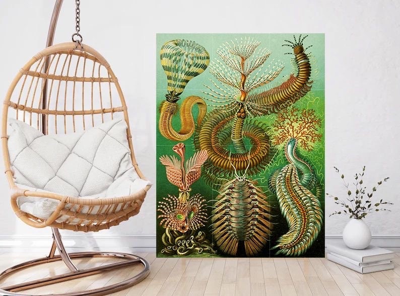 Tile Mural/Mosaic Ceramic Panel of Sea Life - Sea Creatures - Vintage Sea Life Print - Ernst Haeckel Print Vintage Illustration - Ocean Life