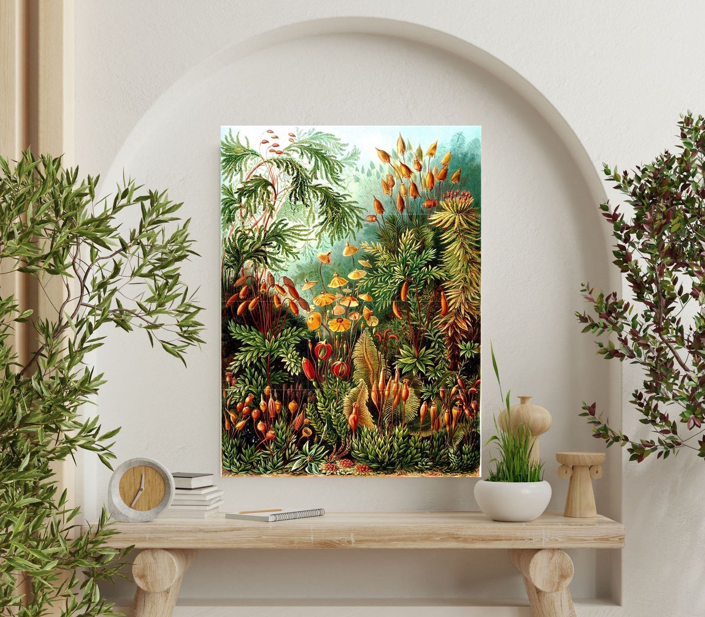 Tile Mural/Mosaic Ceramic Panel of Muscinae - Ernst Haeckel Botanical Print -Ernst Haeckel Print - Vintage Botanical Print - Floral Wall Art