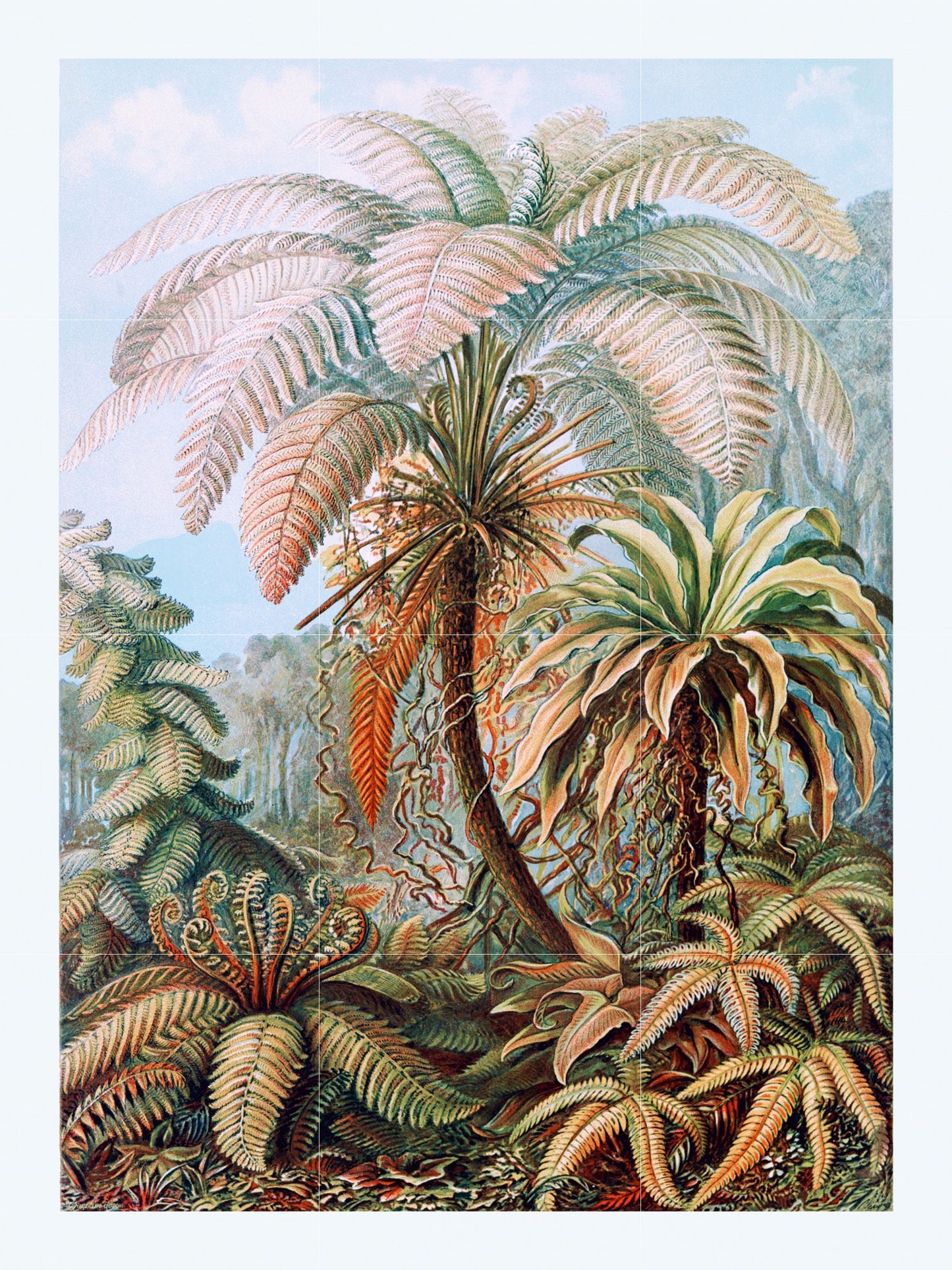 Tile Mural/Mosaic Ceramic Panel of Ferns-Filicinae Ernst Haeckel Botanical Print- Ernst Haeckel Print- Vintage Botanical Print - Floral Art