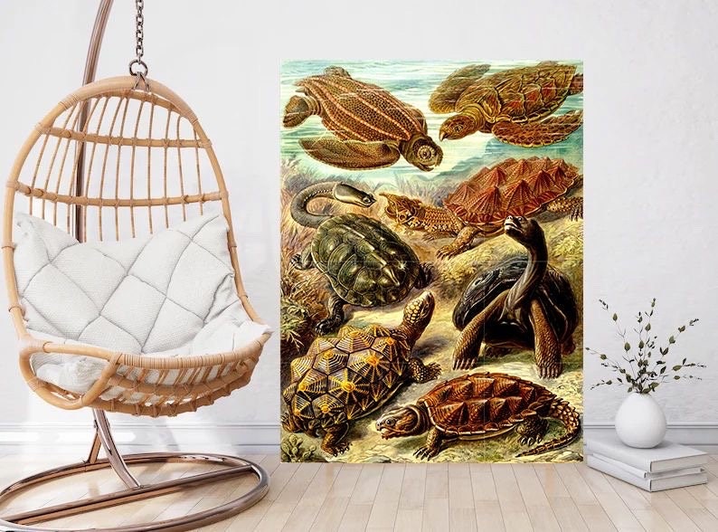 Tile Mural/Mosaic Ceramic Panel of Turtles - Ernst Haeckel Print - Turtle Art - Ernst Haeckel Prints - Vintage Animal Print -Turtle Wall Art