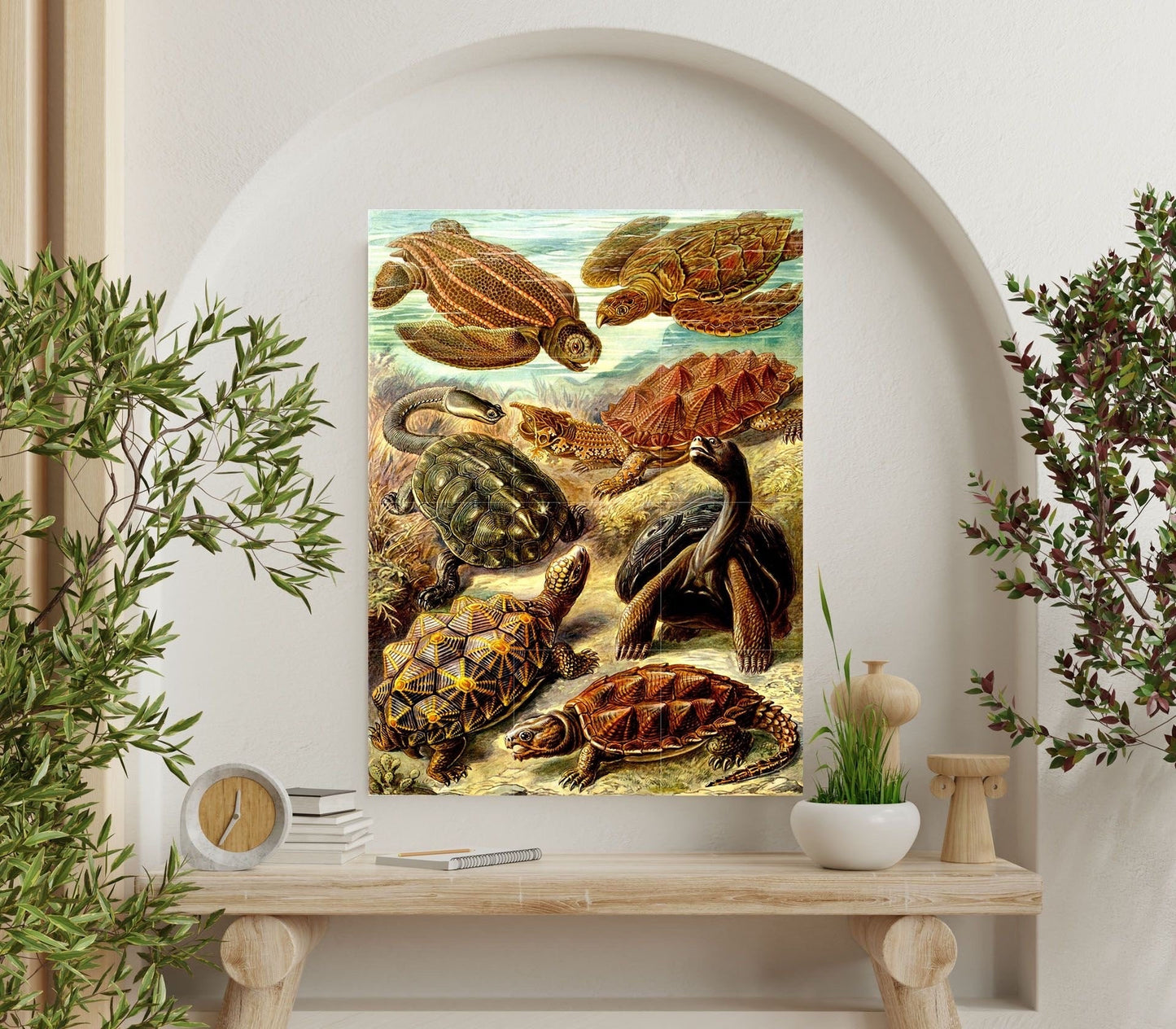 Tile Mural/Mosaic Ceramic Panel of Turtles - Ernst Haeckel Print - Turtle Art - Ernst Haeckel Prints - Vintage Animal Print -Turtle Wall Art