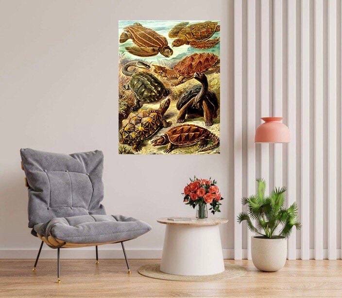 Tile Mural/Mosaic Ceramic Panel of Turtles - Ernst Haeckel Print - Turtle Art - Ernst Haeckel Prints - Vintage Animal Print -Turtle Wall Art