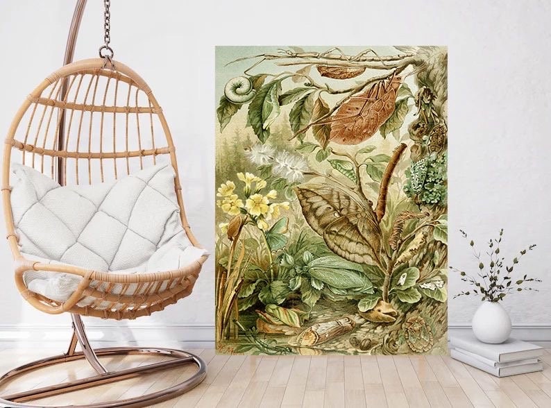 Tile Mural/Mosaic Ceramic Panel of Mimicry - H Morin Art - Insect Print - Insects Vintage Print - Insects Wall Art - Vintage Illustration