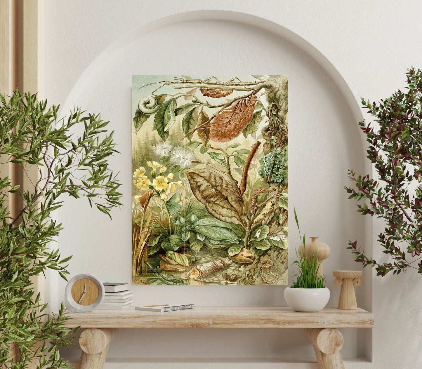 Tile Mural/Mosaic Ceramic Panel of Mimicry - H Morin Art - Insect Print - Insects Vintage Print - Insects Wall Art - Vintage Illustration
