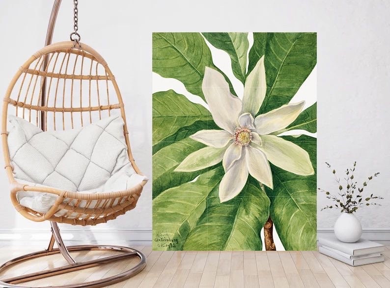 Tile Mural/Mosaic Ceramic Panel of Umbrella Tree Magnolia Tripetala - Mary Vaux Walcott - Flower Mural Wall Art - Vintage Botanical Print