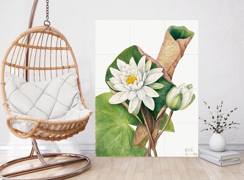 Tile Mural/Mosaic Ceramic Panel of American Waterlily - Mary Vaux Walcott -Flower Wall Art -Vintage Botanical Print -Floral Art - Lily Print