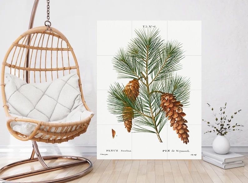 Tile Mural/Mosaic Ceramic White Pine - Pierre-Joseph Redoute - Botanical Wall Art - Vintage Botanical Print - Vintage Botanical Illustration