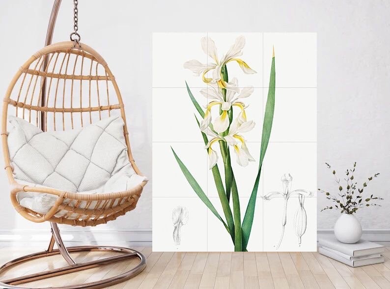 Tile Mural/Mosaic Ceramic Panel Gold - banded Iris Flower - Pierre-Joseph Redoute - Flower Wall Art - Vintage Botanical Print - Floral Wall