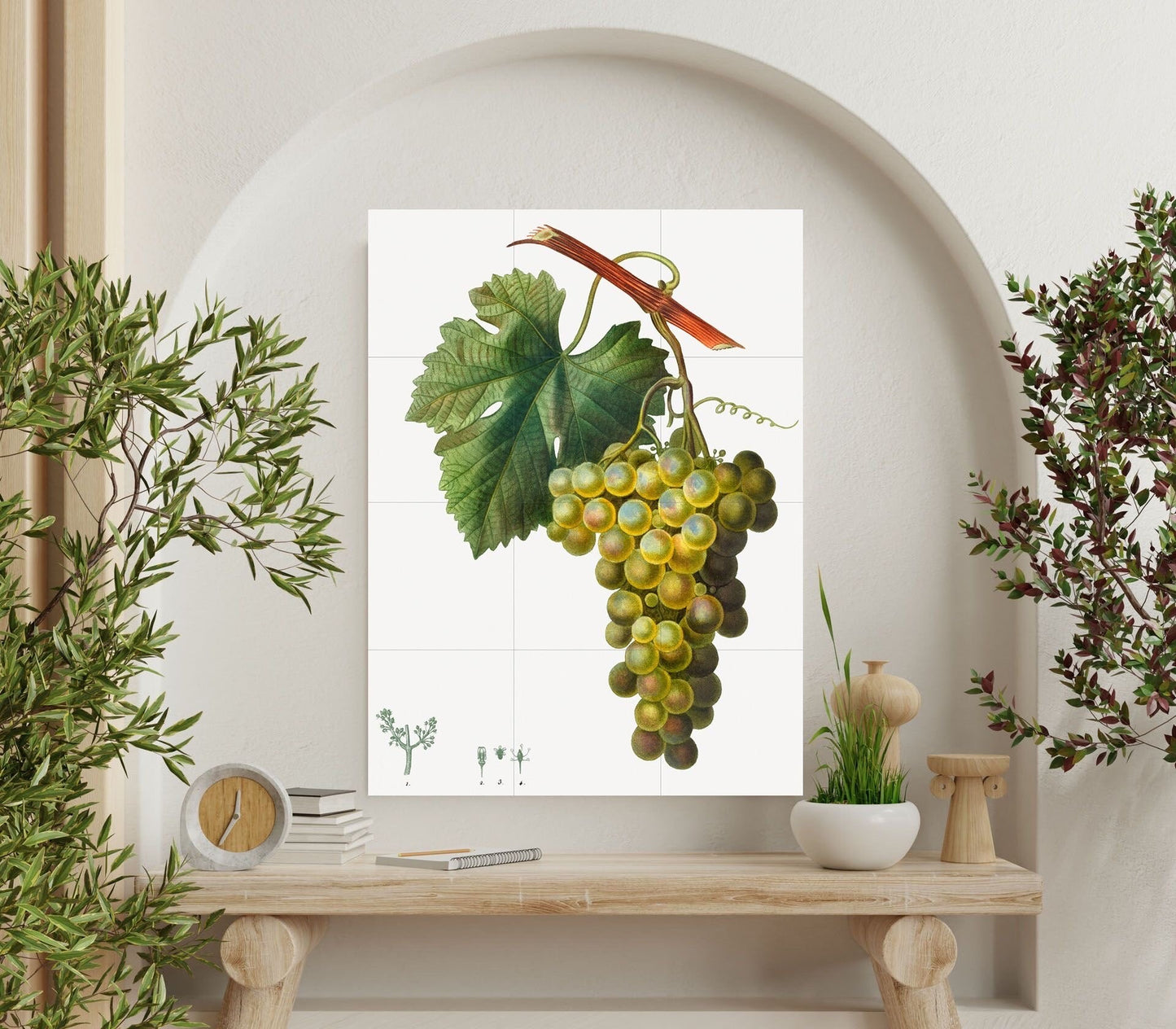 Tile Mural/Mosaic Ceramic Grape Vine Vitis - Pierre-Joseph Redoute - Fruit Wall Art -Vintage Botanical Print- Fruits Wall Art - Fruit Print