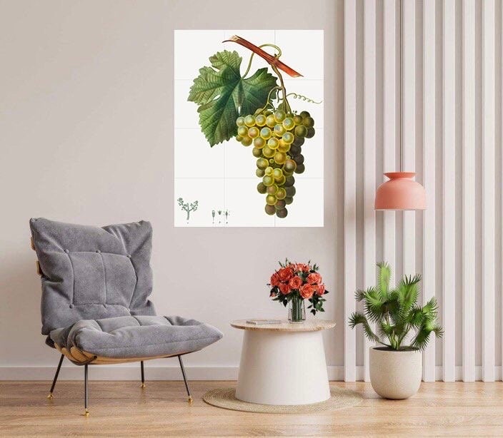 Tile Mural/Mosaic Ceramic Grape Vine Vitis - Pierre-Joseph Redoute - Fruit Wall Art -Vintage Botanical Print- Fruits Wall Art - Fruit Print