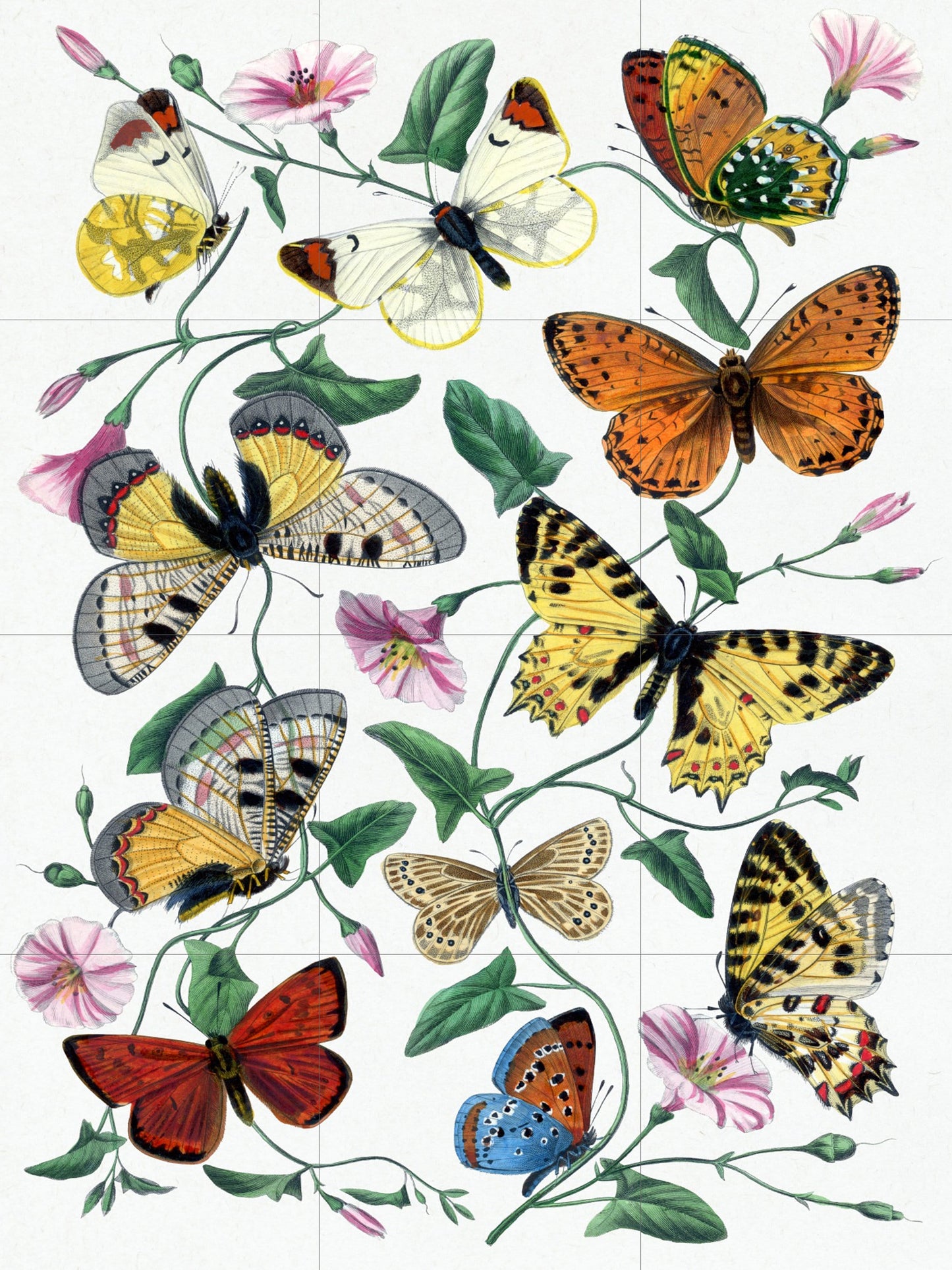 Tile Mural/Mosaic Vintage Butterfly Print - Butterflies wall print - Butterflies vintage illustration -Tile Mural - Home decor- Tile Mosaic