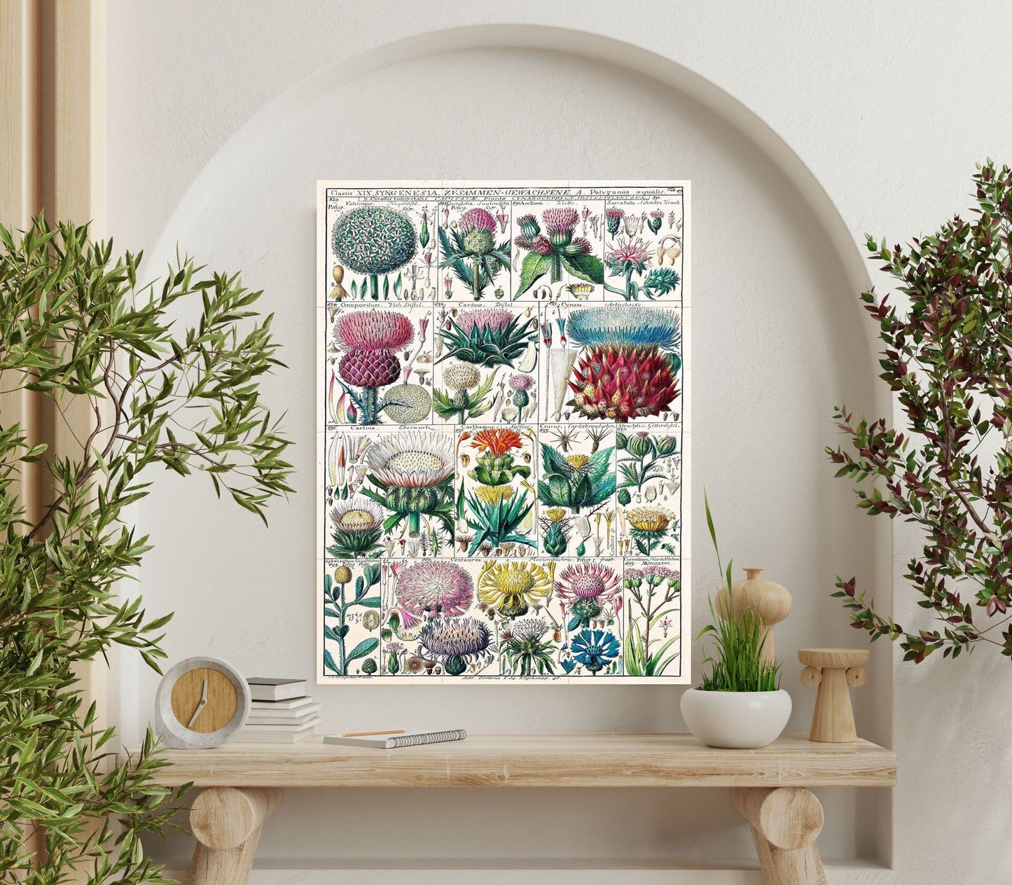 Tile Mural/Mosaic Ceramic Vintage Botanical Print Wildflowers - Larousse -Nature Wall Art - Flower Illustration - Larousse - Kitchen Mural