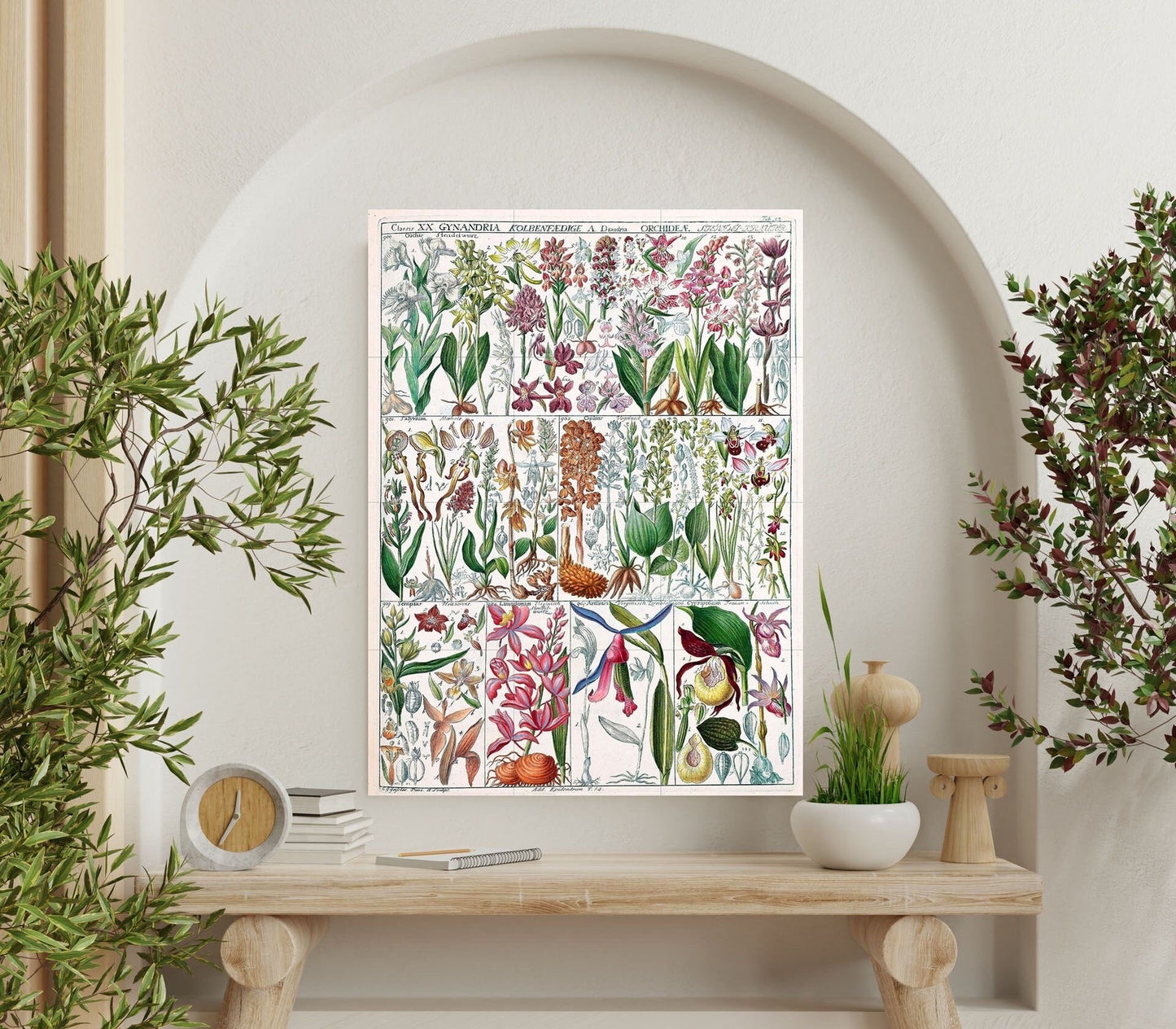 Tile Mural/Mosaic Ceramic Vintage Botanical Print Wildflowers - Larousse -Nature Wall Art - Flower Illustration - Larousse - Kitchen Mural