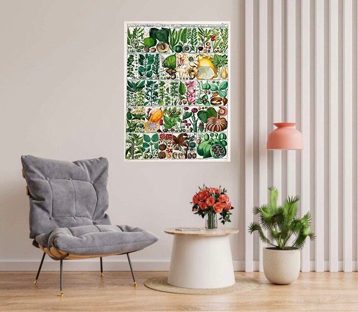 Tile Mural/Mosaic Ceramic Vintage Fruit Illustration - Larousse - Fruit Wall Art - Vintage Botanical Print - Fruits Wall Art - Fruit Print