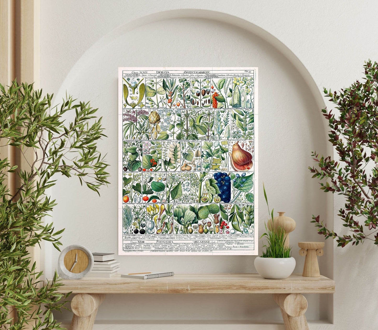 Tile Mural/Mosaic Ceramic Vintage Fruit Illustration - Larousse - Fruit Wall Art - Vintage Botanical Print - Fruits Wall Art - Fruit Print