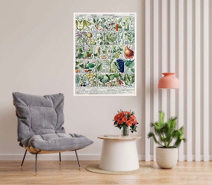 Tile Mural/Mosaic Ceramic Vintage Fruit Illustration - Larousse - Fruit Wall Art - Vintage Botanical Print - Fruits Wall Art - Fruit Print