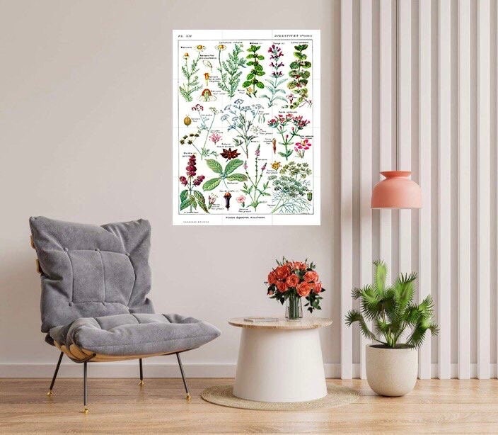 Tile Mural/Mosaic Ceramic Vintage Plant Illustration - Larousse - Plant Wall Art - Vintage Botanical Print - Plant Art - Plant Print