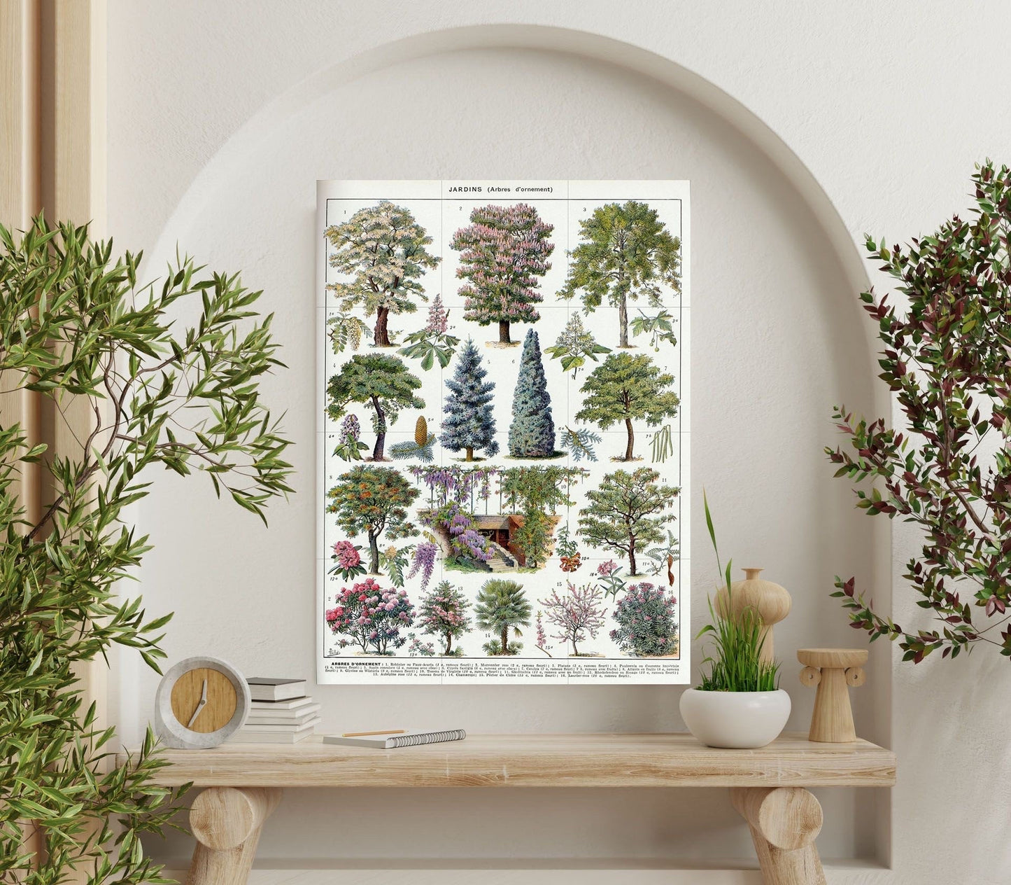 Tile Mural/Mosaic Ceramic Vintage Tree Wall Art - Plant Illustration - Larousse - Plant Wall Art - Kitchen Mural - Vintage Botanical Print