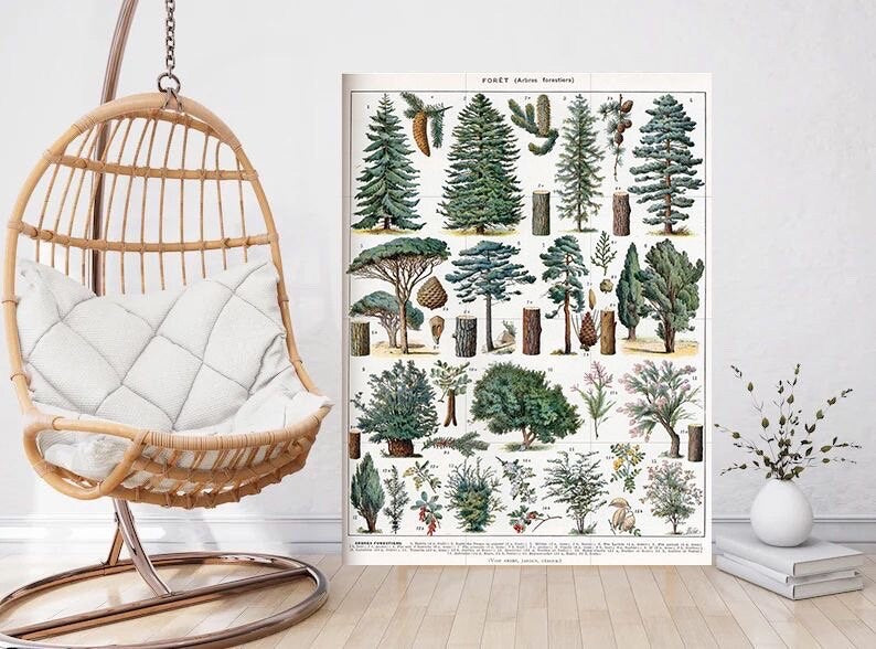Tile Mural/Mosaic Ceramic Vintage Tree Wall Art - Plant Illustration - Larousse - Plant Wall Art - Kitchen Mural - Vintage Botanical Print