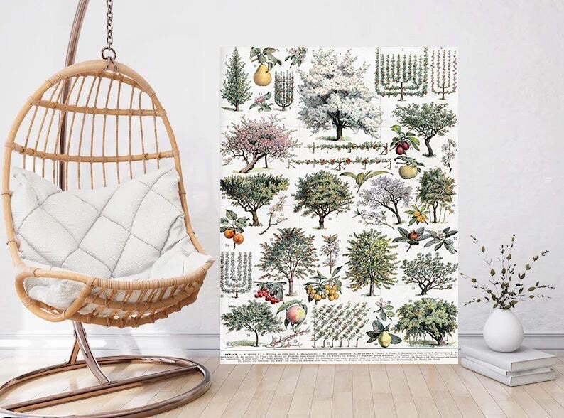 Tile Mural/Mosaic Ceramic Vintage Tree Wall Art - Plant Illustration - Larousse - Plant Wall Art - Kitchen Mural - Vintage Botanical Print