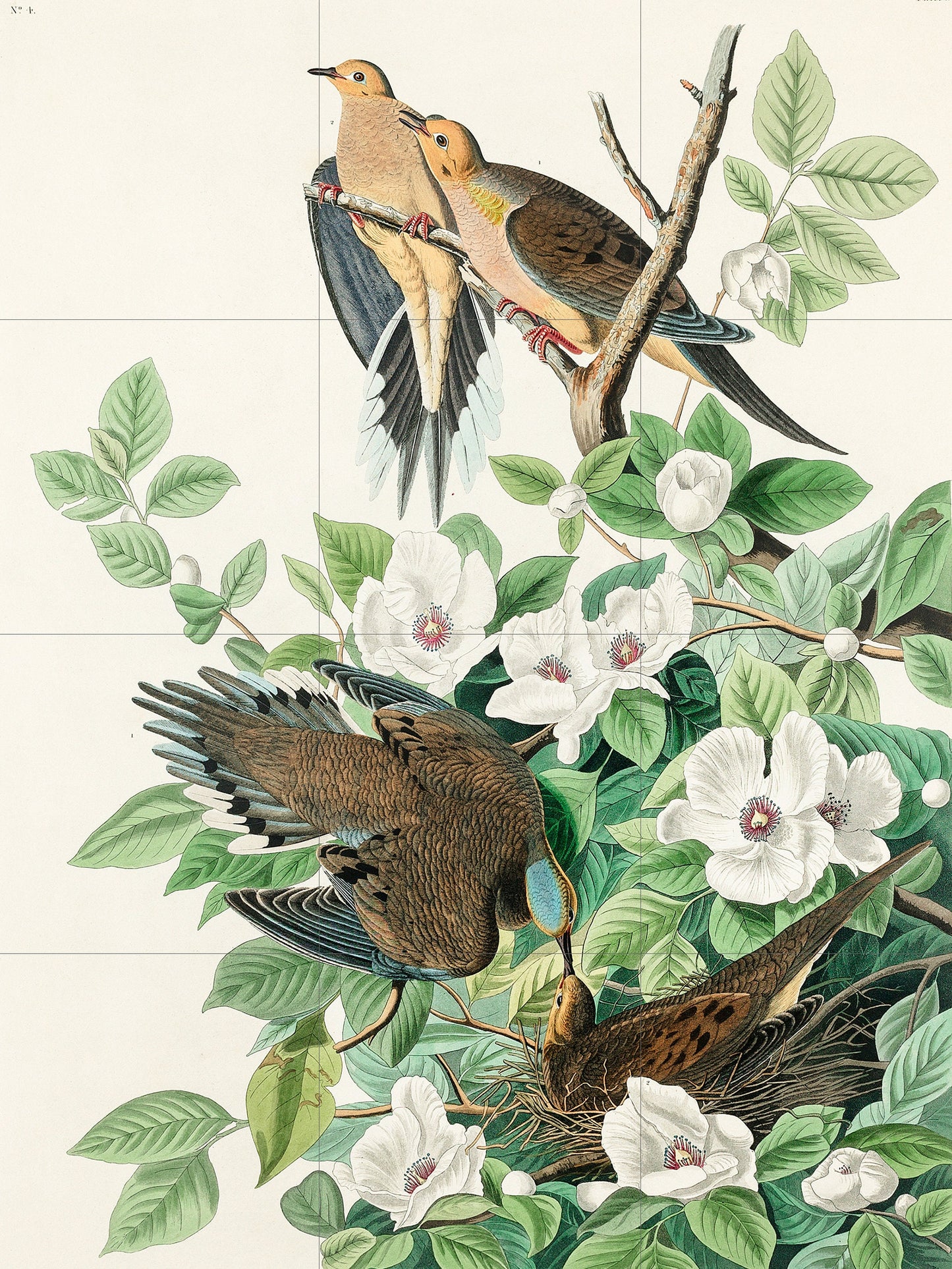 Tile Mural/Mosaic Ceramic Panel of Carolina Pigeon Birds -John James Audubon- Bird Print - Bird Mural -Bird and Flower Decor - Bird Wall Art