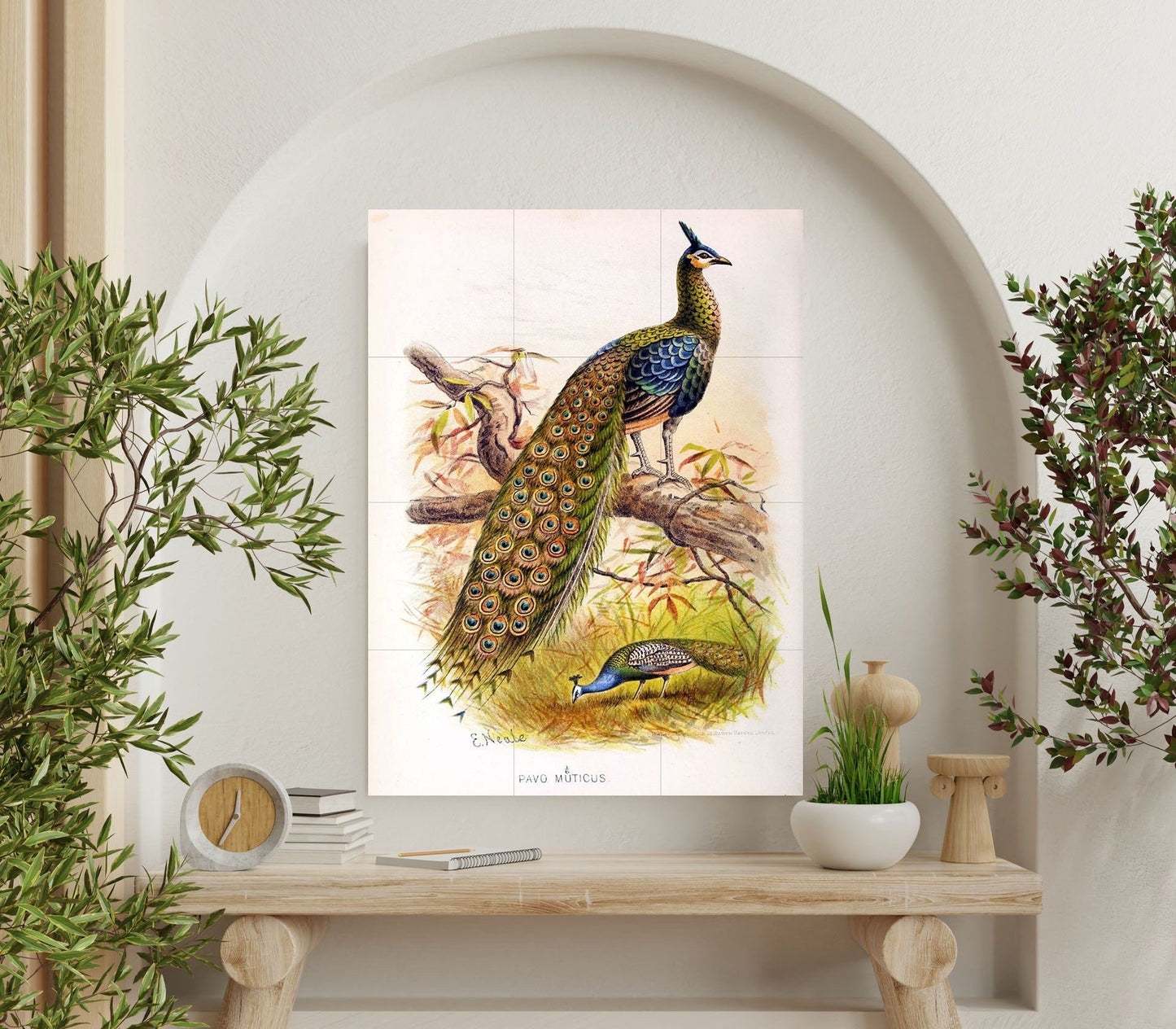 Tile Mural/Mosaic Ceramic Panel of Peacock - E Neale - Bird Wall Art Home Decor - Peacock Mural - Gloss Tiles - Peacock Tile Mosaic