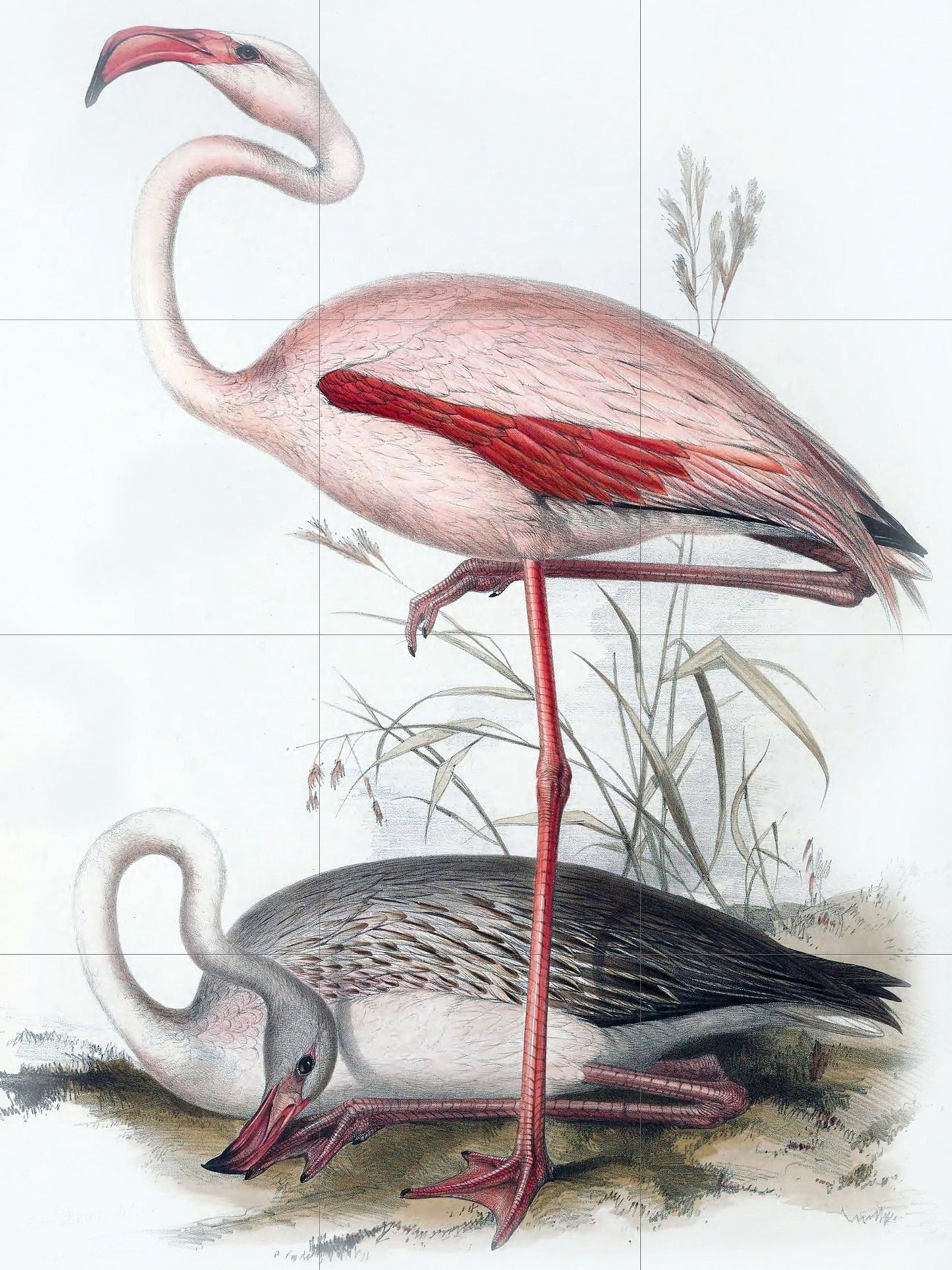 Tile Mural/Mosaic Ceramic Panel of Pink Flamingo- Tropical Bird Mural - Bird Print - Bird Art - Flamingo Print - Bird Wall Art - Bird Mosaic