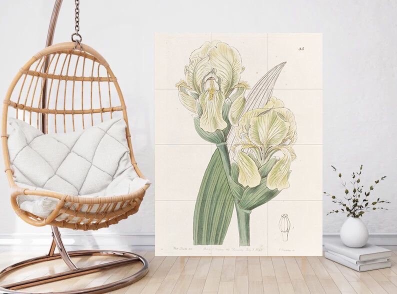 Tile Mural/Mosaic Ceramic Panel Imbricated Iris - Edwards Sydenham -Flower Wall Art - Vintage Botanical Print - Floral Art - Flower Mural