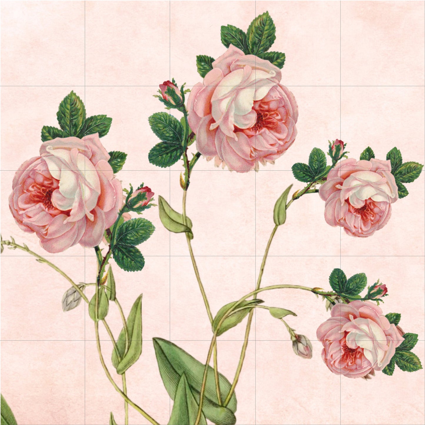 Tile Mural/Mosaic Ceramic Panel of Roses - Flower Wall Art-Vintage Botanical Print -Rose Print -Rose Home Decor -Flower Mural -Flower Mosaic