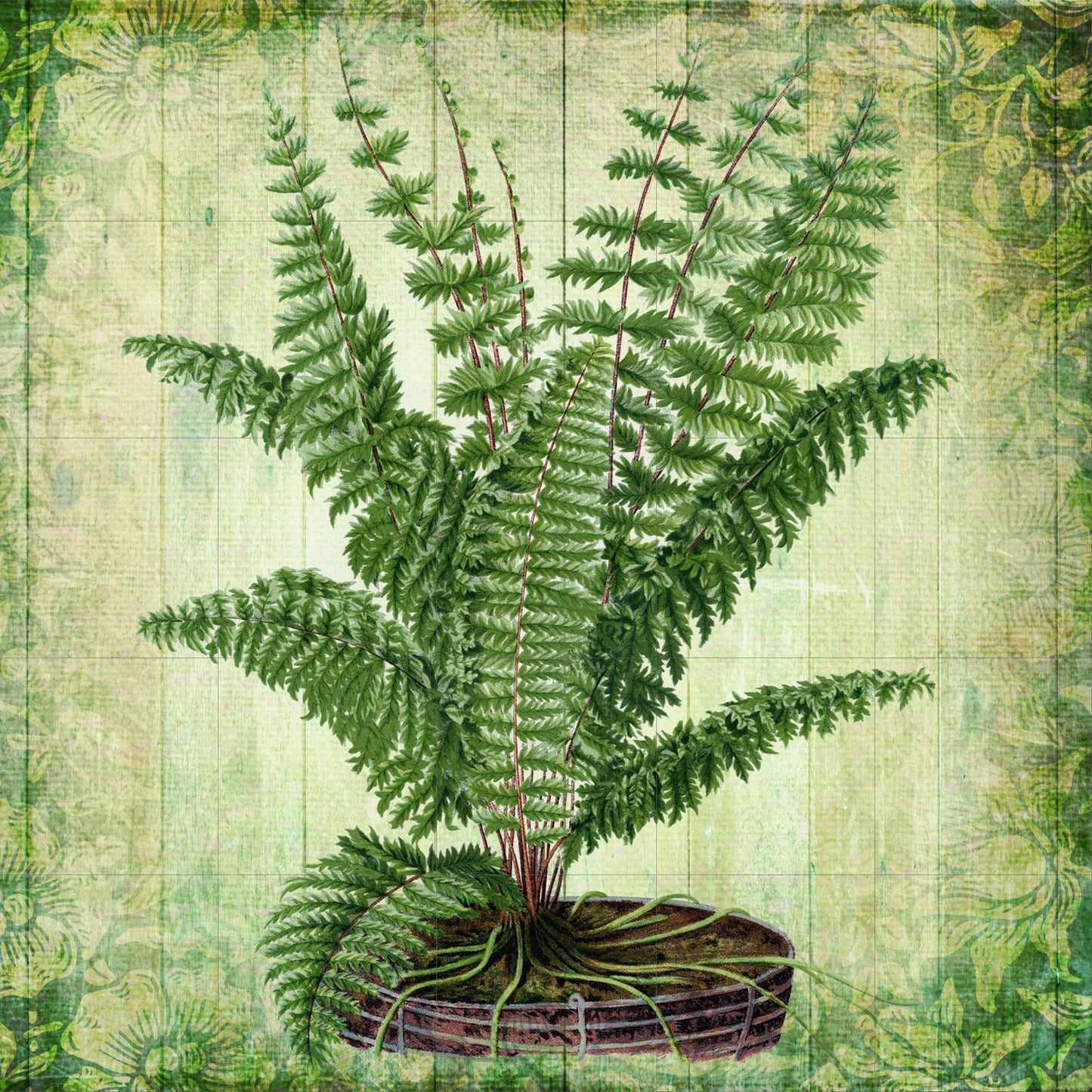 Tile Mural/Mosaic Ceramic of Fern - Nature Print - Botanical Wall Art - Plant Print - Fern Mural - Gloss Tiles - Botanical Print - Plant Art