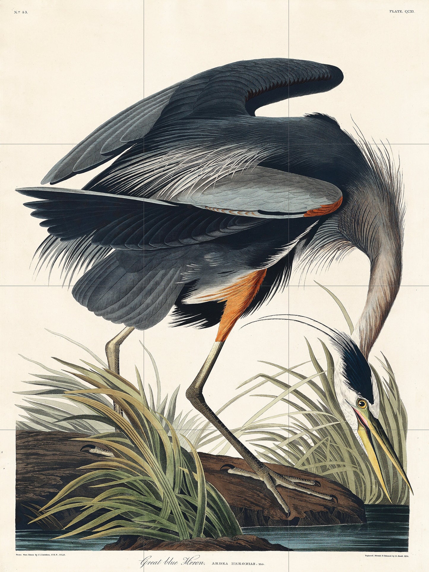 Tile Mural/Mosaic Ceramic Panel of Great Blue Heron-John James Audubon - Wall Nature Art - Bird Mural - Gloss Tiles - Crane Bird Tile Mosaic