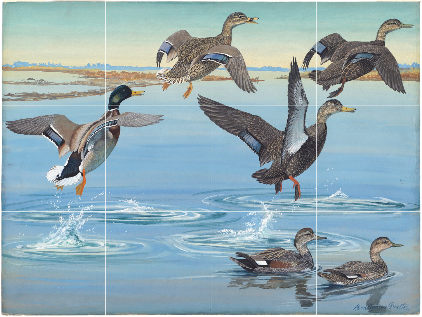 Tile Mural/Mosaic Ceramic Panel of Duck - Bird Mural- Bird Mosaic -Gloss Tiles - Countryside Mural -Tile Mosaic -Duck Wall Art - Ducks Print