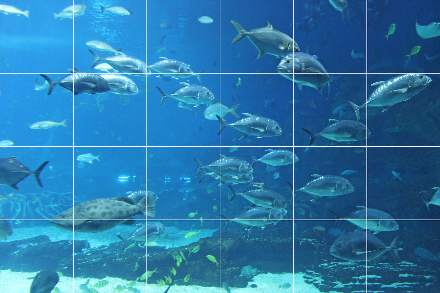 Tile Mural/Mosaic Ceramic Panel of an Ocean Fish Underwater World - Fish Wall Art - Tile Mural Art Print - Home Decor - Tile Mosaic