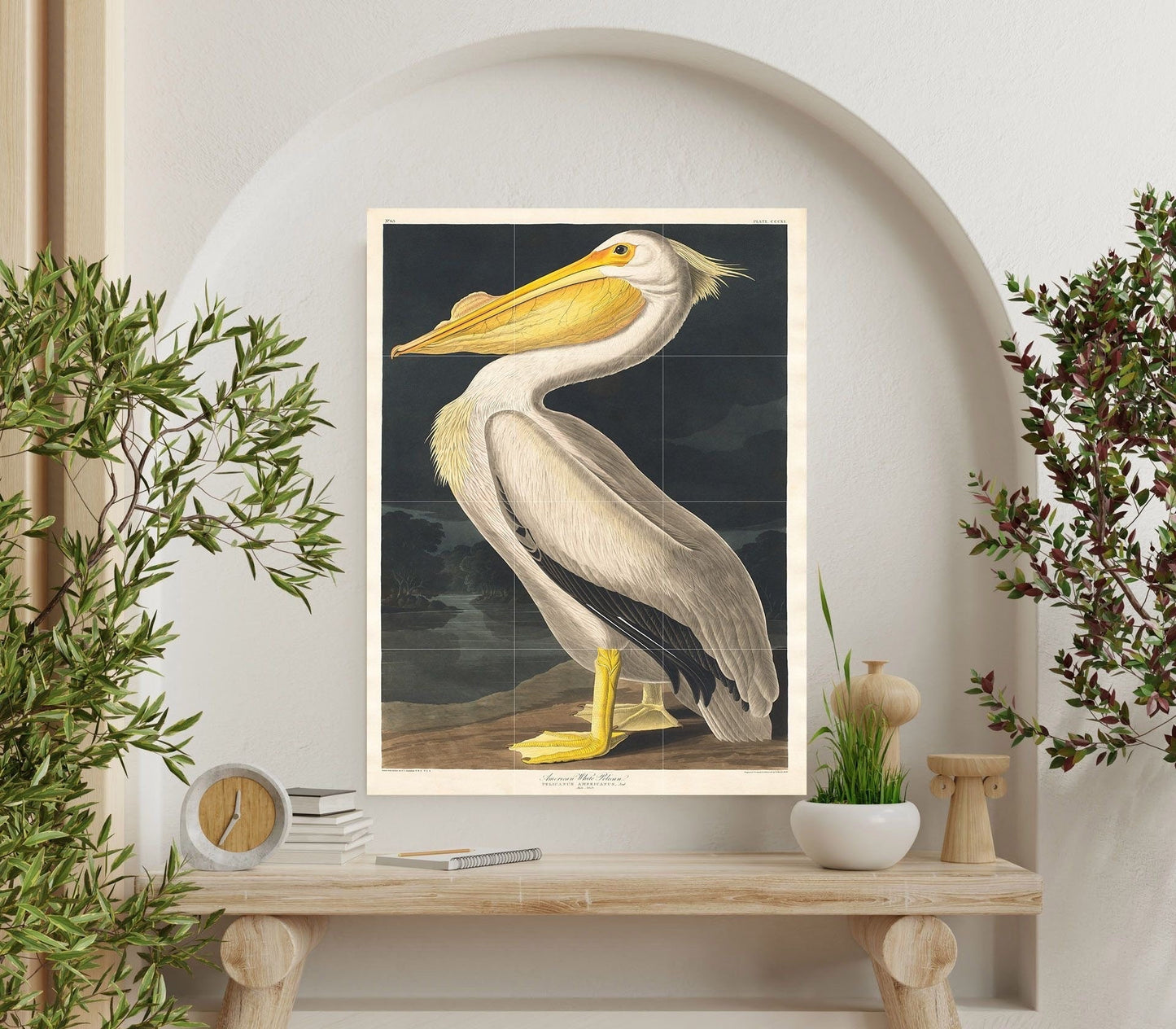 Tile Mural/Mosaic Ceramic Panel of Pelican Tropical Bird - John James Audubon - Bird Mural - Gloss Tiles - Pelican Wall Art Print - Bird Art