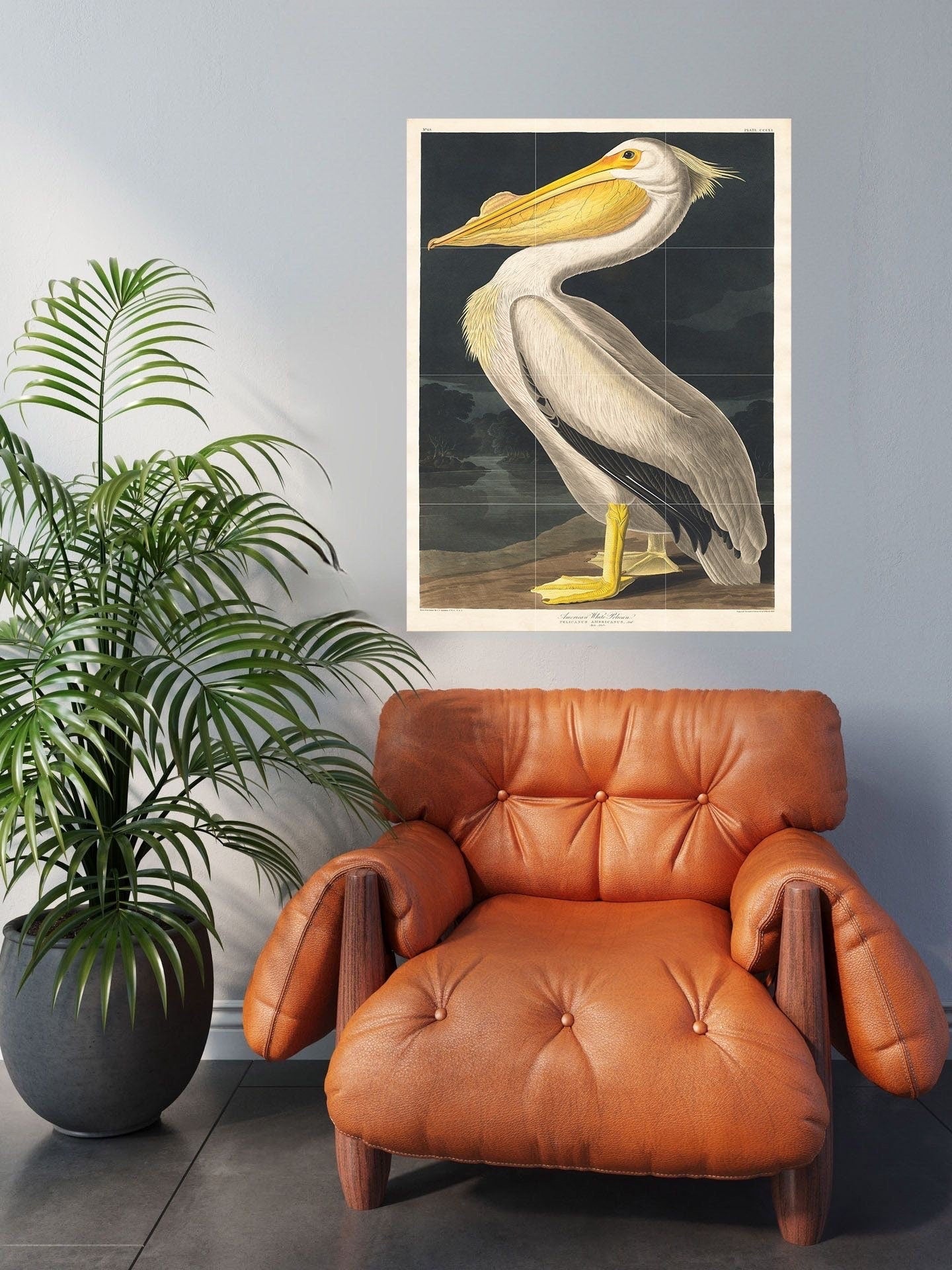 Tile Mural/Mosaic Ceramic Panel of Pelican Tropical Bird - John James Audubon - Bird Mural - Gloss Tiles - Pelican Wall Art Print - Bird Art