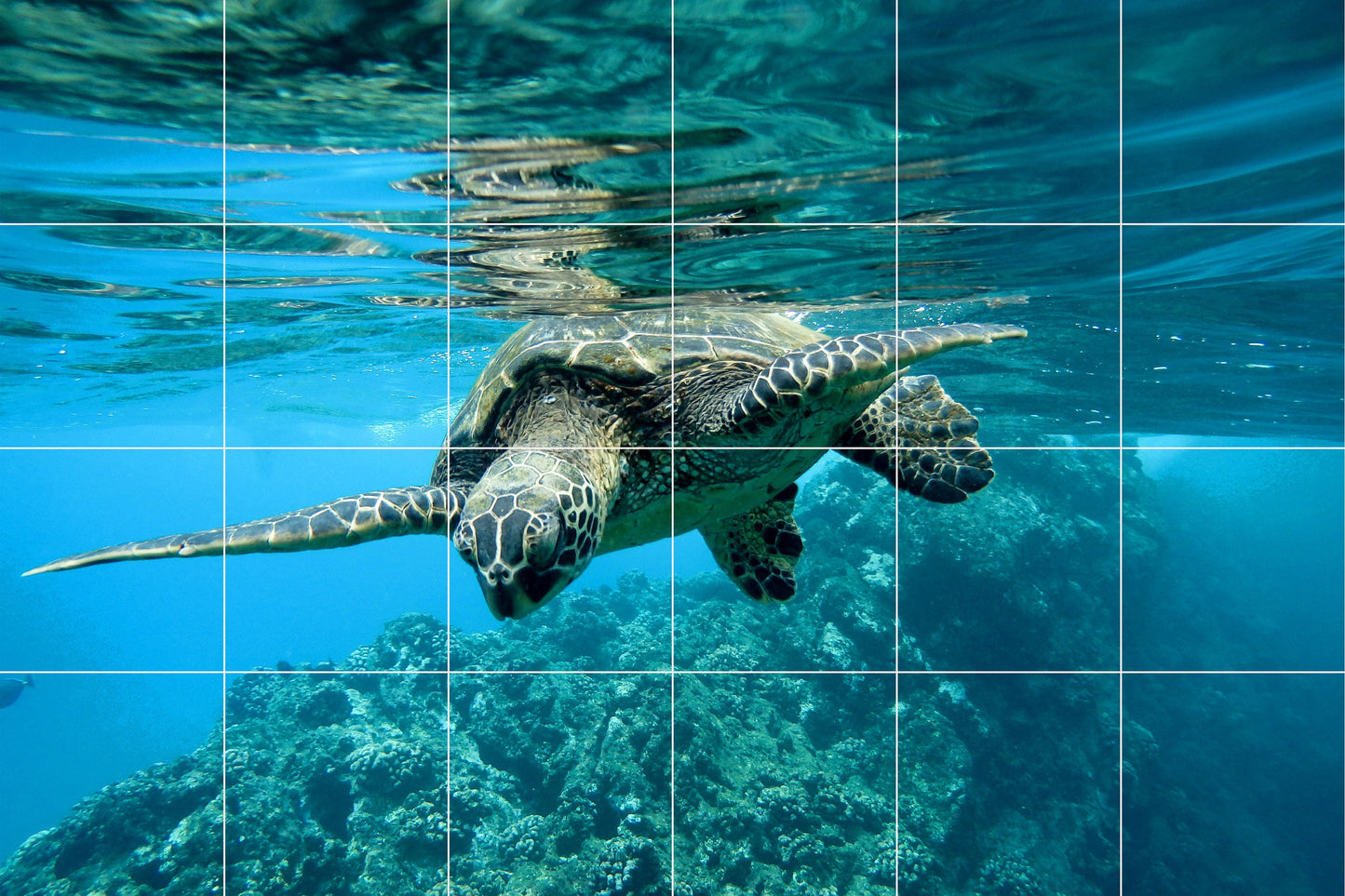 Tile Mural/Mosaic Ceramic Panel of an Ocean Undersea Sea Turtle - Underwater Wall Nature Art Print - Tile Mural - Gloss Tiles - Tile Mosaic