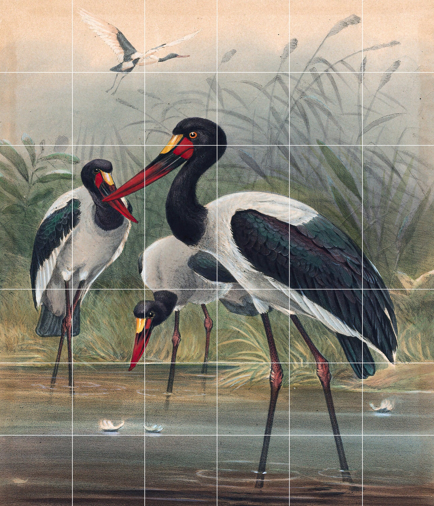 Tile Mural/Mosaic Ceramic Panel of The Saddle-Billed Stork- Joseph Wolf Birds Art Print - Tile Mural - Gloss Tiles - Bird Tile Mosaic
